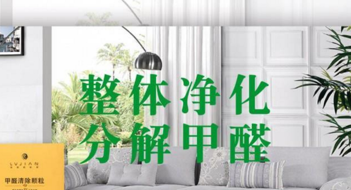 破解空氣凈化難題 盛世康新型催化材料的科學(xué)與應(yīng)用